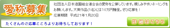 *_*_*_*_url_http://www.jflc.or.jp/index.php?catid=147&blogid=9&itemid=649_FALSE