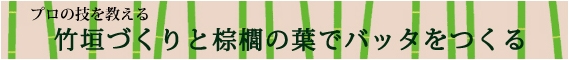 NiwaNaviPopupImage