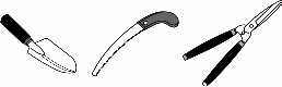ClipboardImage.bmp