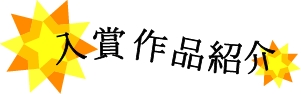 NiwaNaviPopupImage