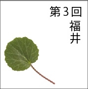 NiwaNaviPopupImage