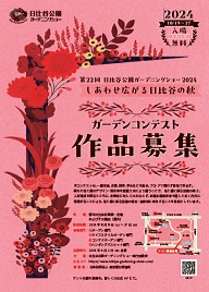 ëǥ˥󥰥硼